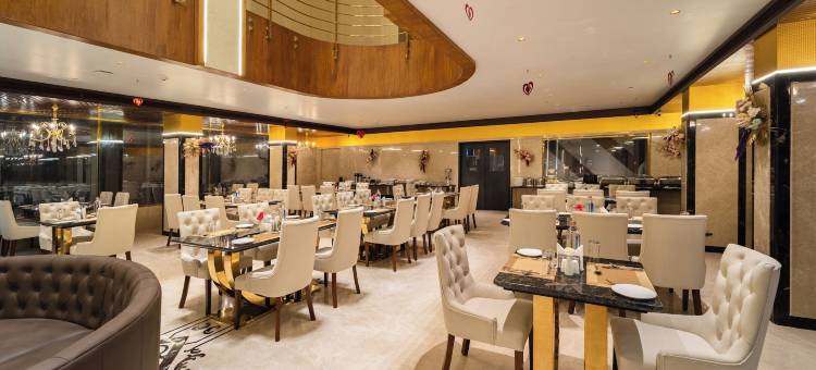 拉坦国际酒店(Ratan International)图片