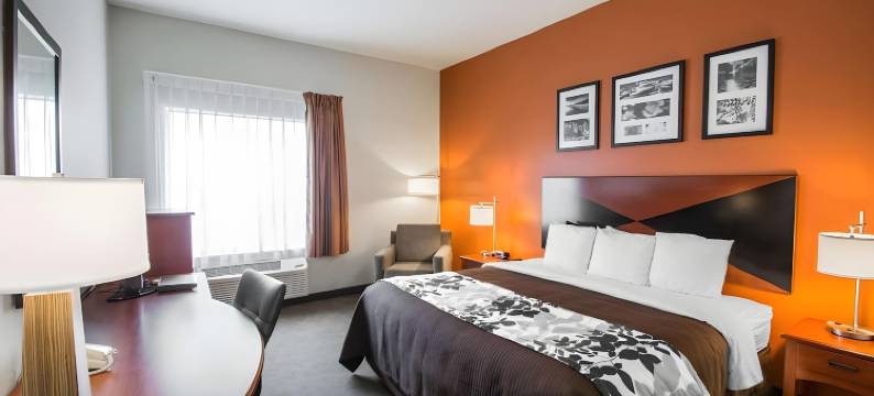 帕拉特卡北舒眠套房酒店(Sleep Inn & Suites Palatka North)图片