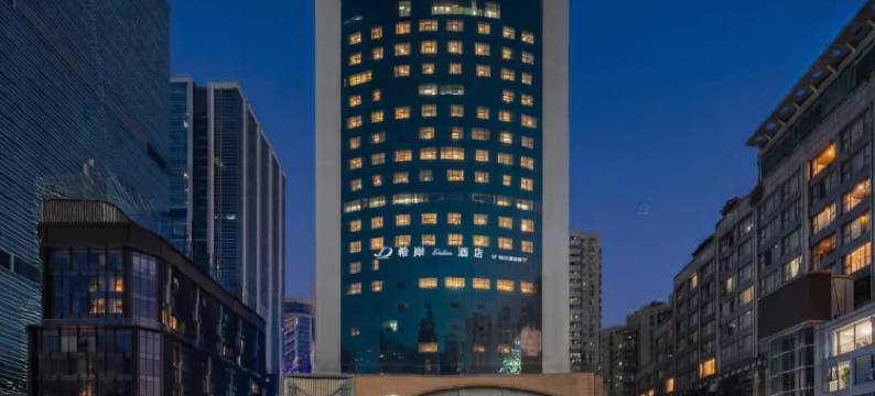 深圳罗湖口岸向西村地铁站希岸Deluxe酒店图片