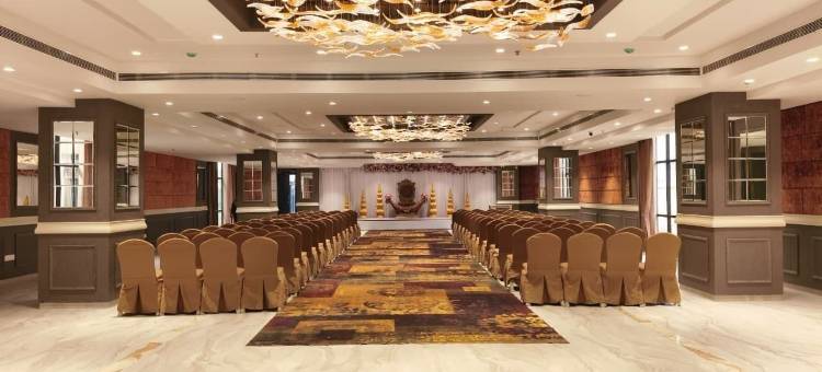 天空之光洛兹酒店(SkkyLight Lords Inn Nanded)图片
