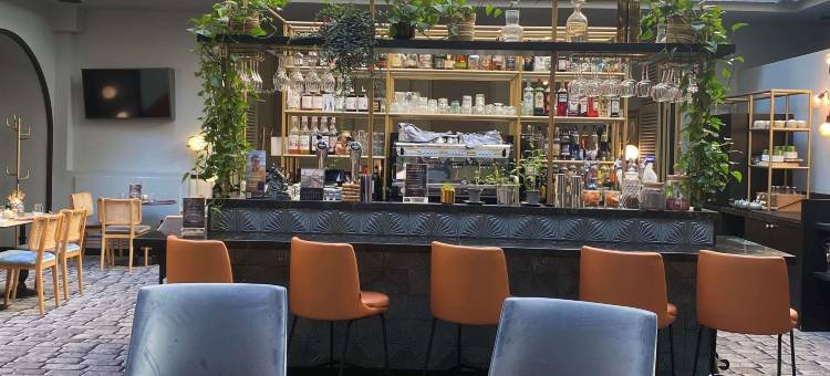 蒙托帮美居酒店(Mercure Montauban)图片