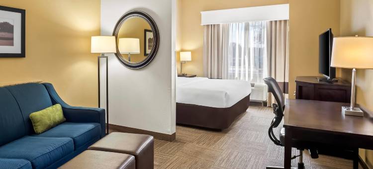 弗赖拉辛舒适套房酒店(Comfort Suites Frisco)图片