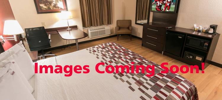 萨顿红顶酒店(Red Roof Inn Sutton)图片