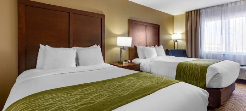 阿拉米达阿尔伯克基热气球节公园舒适套房酒店(Comfort Inn & Suites Alameda at Albuquerque Balloon Fiesta Park)图片