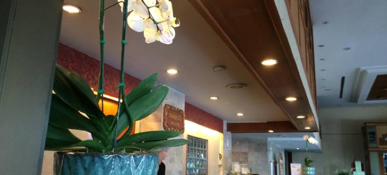 拉麦酒店(La Mai Hotel)图片