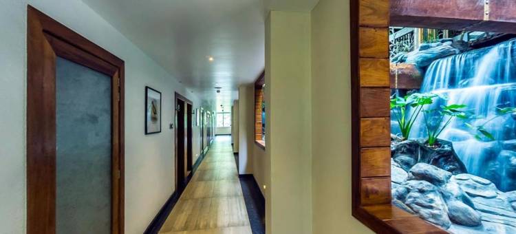 坎迪斯文迪伍兹酒店(Chandys Windy Woods Munnar)图片