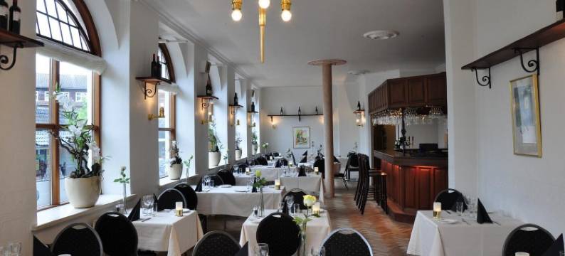 普尼克斯布朗德史莱夫酒店(Hotel Phønix Brønderslev)图片