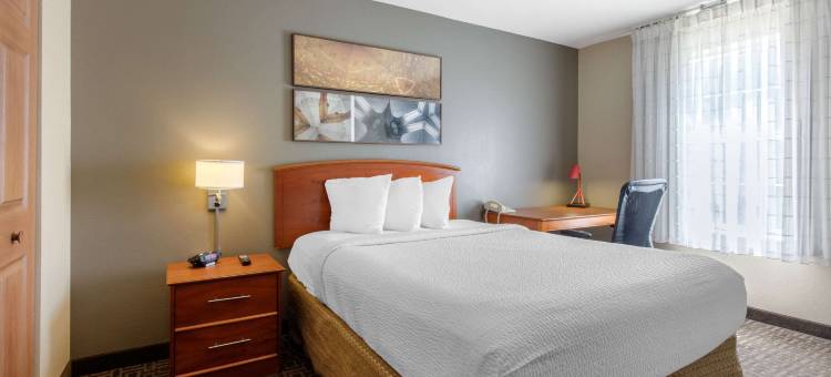 伯明罕霍姆伍德 I-65 郊区开放式客房(Suburban Studios Birmingham Homewood I-65)图片