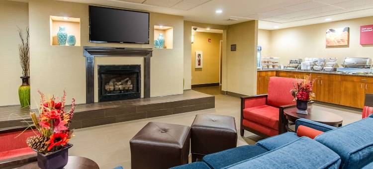 舒适套房酒店(Comfort Suites)图片