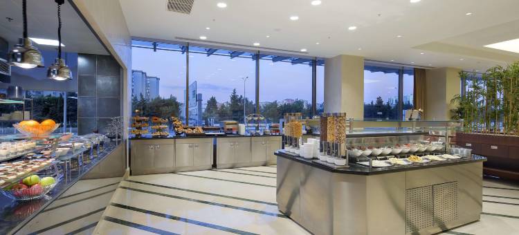 伊斯坦布尔贝利克杜祖希尔顿花园酒店(Hilton Garden Inn Istanbul Beylikduzu)图片