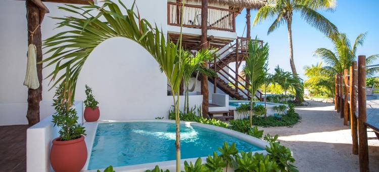 帕拉帕斯海滨HM别墅(Villas HM Palapas del Mar)图片