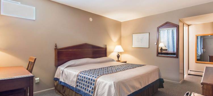 阿姆斯特丹骑士酒店(Knights Inn Amsterdam)图片