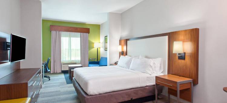 休斯顿南部医疗中心智选假日套房酒店(Holiday Inn Express & Suites Houston S - Medical Ctr Area)图片