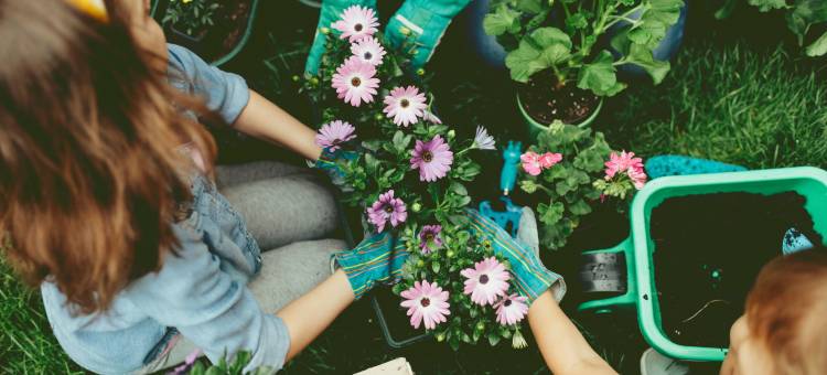 多姆斯泽恩查尼亚，豪华精选度假村，克里特(Domes Zeen Chania, a Luxury Collection Resort, Crete)图片