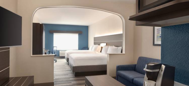 智选假日套房酒店丹佛机场(Holiday Inn Express & Suites Denver Airport)图片