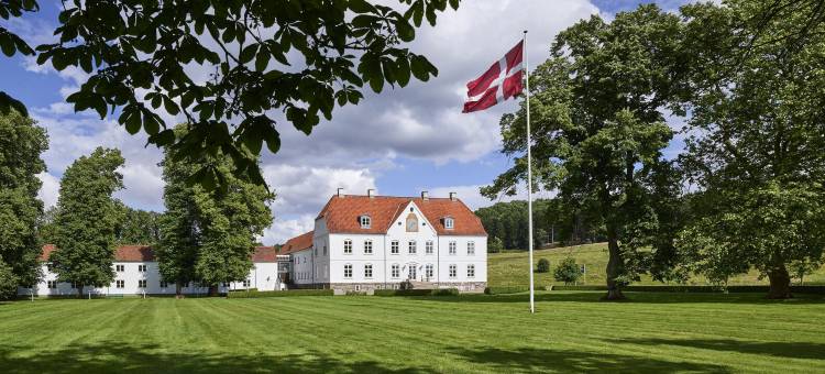 哈拉德斯卡辛那图尔酒店及会议中心(Haraldskær Sinatur Hotel & Konference)图片