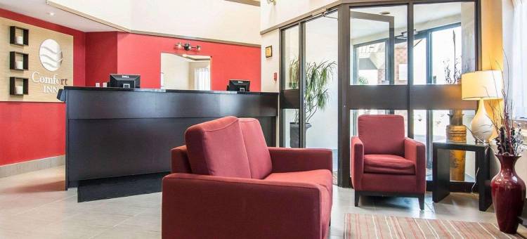 东部舒适酒店(Comfort Inn East)图片