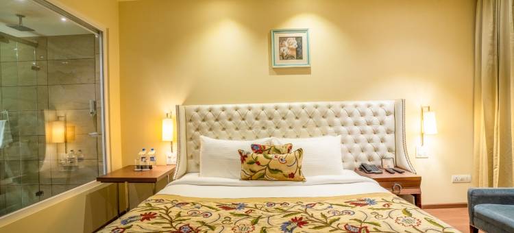 茵德拉普拉斯塔 Spa 度假村(Indraprastha Spa Resort)图片