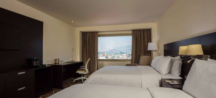 托卢卡希尔顿逸林酒店(DoubleTree by Hilton Toluca)图片