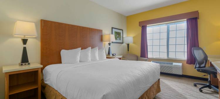 奇黑利斯公园贝斯特韦斯特优质套房酒店(Best Western Plus Park Place Inn  Suites)图片