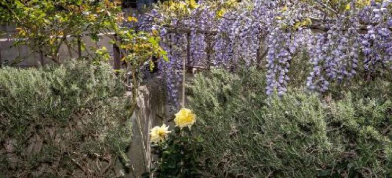 Residence Valle Fiorita图片