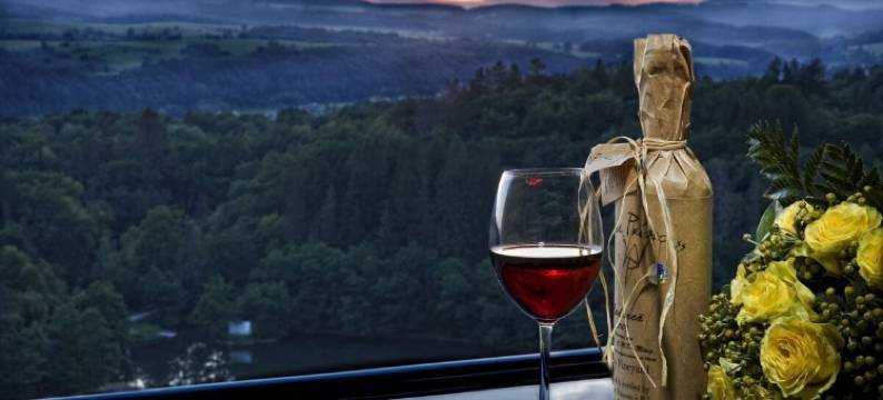 恩萨纳布拉迪特酒店(Ensana Bradet)图片