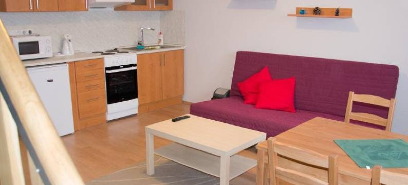 威瑞塔兹旅馆(Penzion Veritas)图片