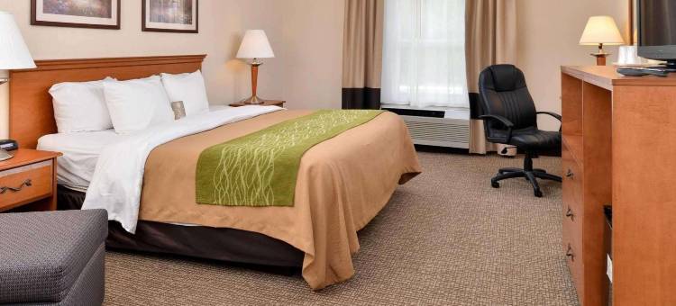 锡林斯格罗夫凯艺酒店(Quality Inn Selinsgrove)图片