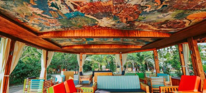 梦想之地绿洲酒店(Dreamland Oasis Hotel)图片