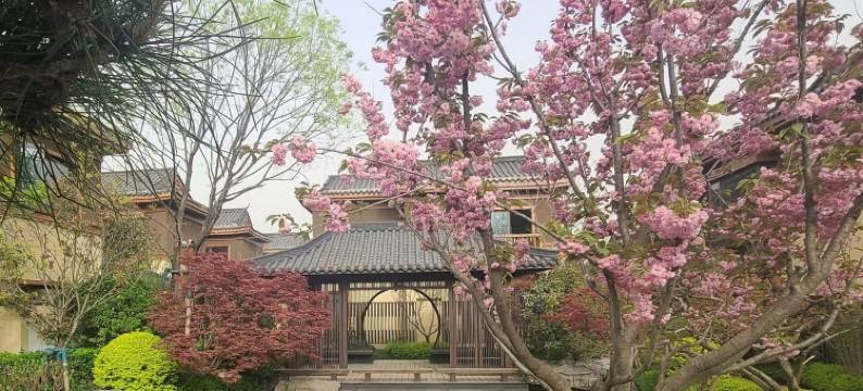 太白山康之洋私汤温泉度假别墅(太白山景区唐镇店)图片