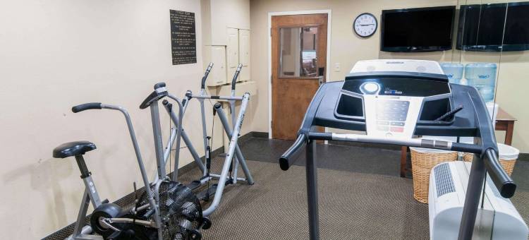 新荷兰阿米什乡村舒适酒店(Comfort Inn Amish Country)图片