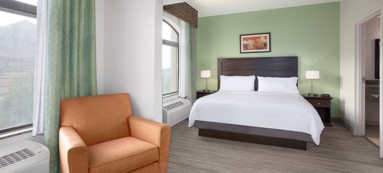 奥罗谷图森北智选假日套房酒店(Holiday Inn Express & Suites ORO VALLEY-TUCSON NORTH by IHG)图片