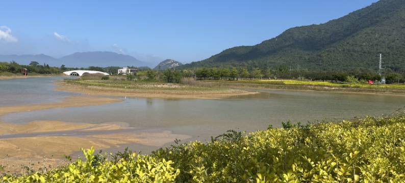 乐自在美久时光民宿(新圩路8号分店)图片