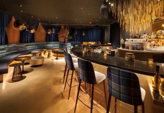 W Bellevue Hotel Overview