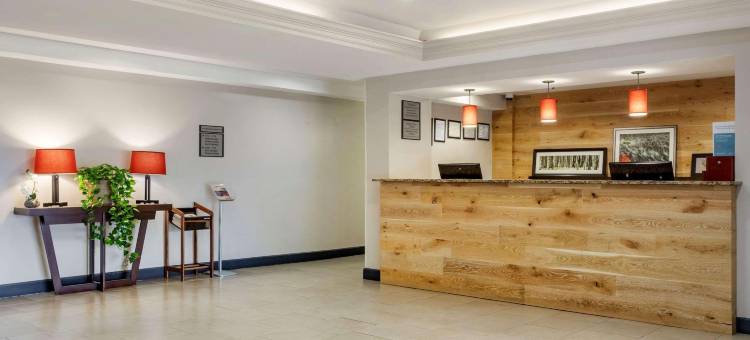 亚特兰大市中心丽怡酒店(Country Inn & Suites by Radisson, Atlanta Downtown)图片