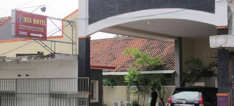 任抹里雅酒店(Ria Hotel Jember)图片