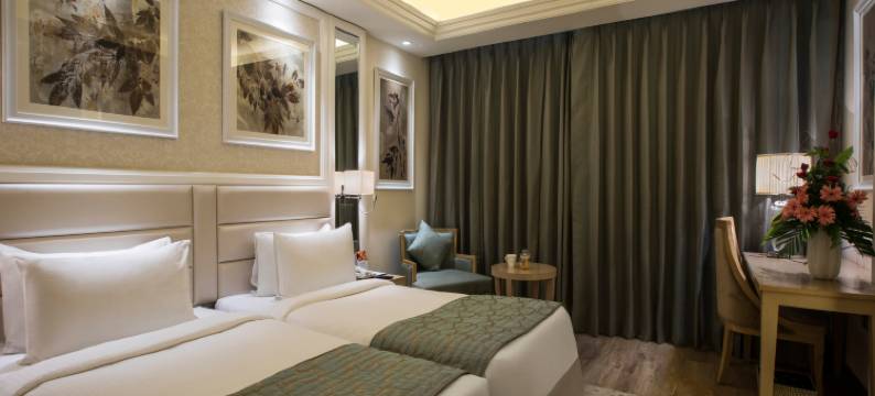 赖布尔辛哈尼亚萨罗瓦门廊酒店(Singhania Sarovar Portico)图片