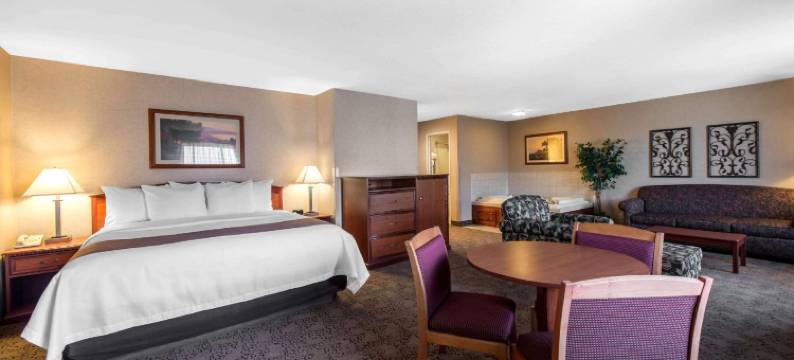 凯艺酒店(Quality Inn)图片