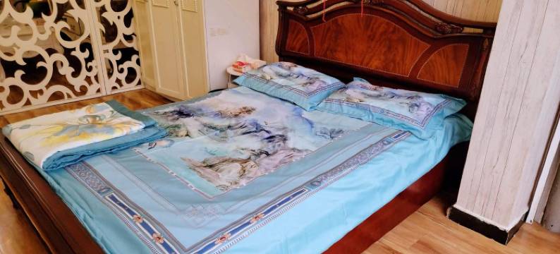 junlunyu公寓(北蔡街分店)图片