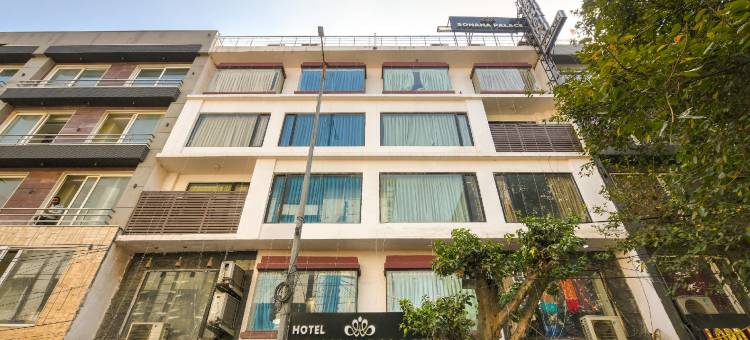 索哈纳宫酒店(Sohana Palace)图片