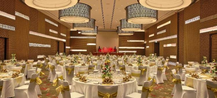 浦那纳加尔路诺富特酒店(Novotel Pune Nagar Road)图片