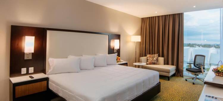 墨西哥普埃布拉安荷洛波里斯希尔顿花园酒店(Hilton Garden Inn Puebla Angelópolis)图片