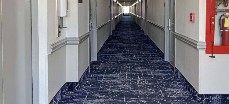 舒适酒店康诺弗-希科里(Comfort Inn Conover-Hickory)图片