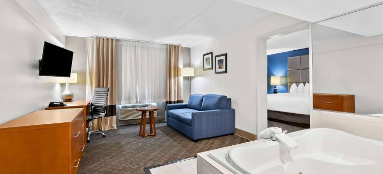 舒适酒店及套房纳什维尔 靠近Tanger Outlets I-24 安提阿克(Comfort Inn & Suites Nashville Near Tanger Outlets I-24 Antioch)图片