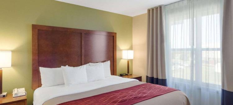 费耶特维尔大学区舒适套房酒店(Comfort Inn & Suites Fayetteville-University Area)图片