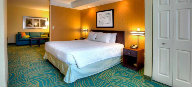 坦帕布兰登万豪SpringHill酒店(SpringHill Suites Tampa Brandon)图片