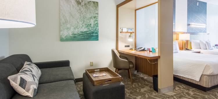 坦帕北/坦帕棕榈万豪SpringHill酒店(SpringHill Suites Tampa North/I-75 Tampa Palms)图片