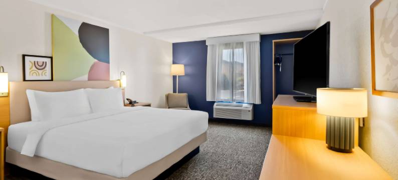 罗阿诺克北部戴尔维尔希尔顿Spark酒店(Spark by Hilton Daleville Roanoke North)图片