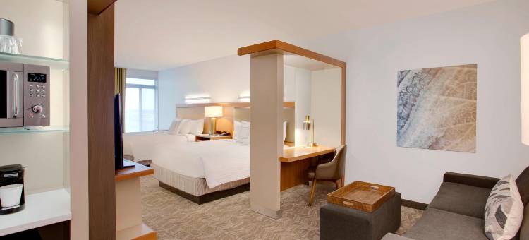 哈特福德机场／温莎洛克斯万豪SpringHill酒店(SpringHill Suites Hartford Airport/Windsor Locks)图片