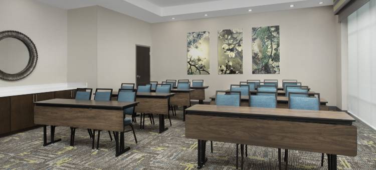 夏洛特机场普安特湖欢朋套房酒店(Hampton Inn & Suites Charlotte Airport Lake Pointe)图片